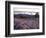 Grooves in the Granite on Summit of Cadillac Mountain, Acadia National Park, Maine, USA-Jerry & Marcy Monkman-Framed Photographic Print