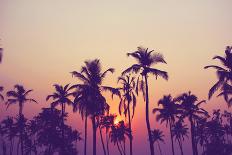 Silhouette of Palm Trees at Sunset, Vintage Filter-grop-Mounted Photographic Print