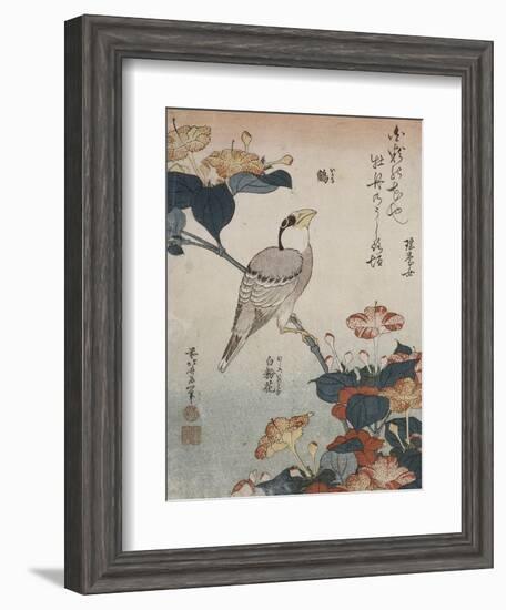 Gros-bec et mirabilis-Katsushika Hokusai-Framed Giclee Print