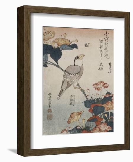 Gros-bec et mirabilis-Katsushika Hokusai-Framed Giclee Print