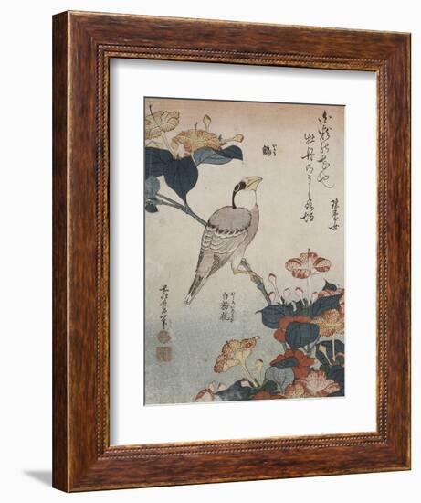 Gros-bec et mirabilis-Katsushika Hokusai-Framed Giclee Print