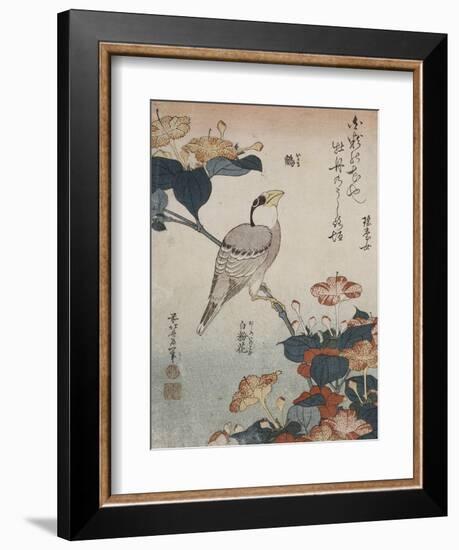 Gros-bec et mirabilis-Katsushika Hokusai-Framed Giclee Print