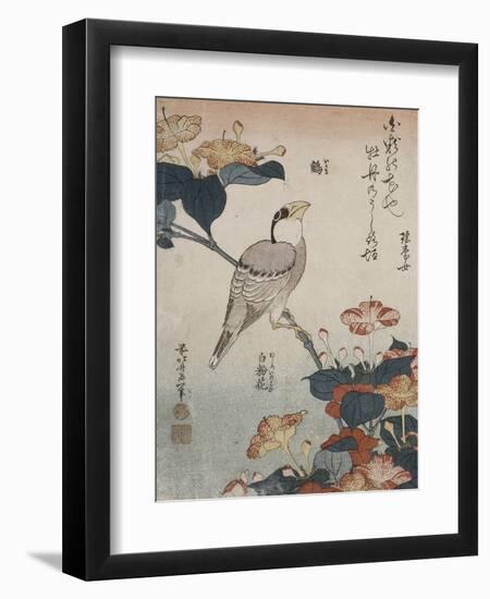 Gros-bec et mirabilis-Katsushika Hokusai-Framed Giclee Print