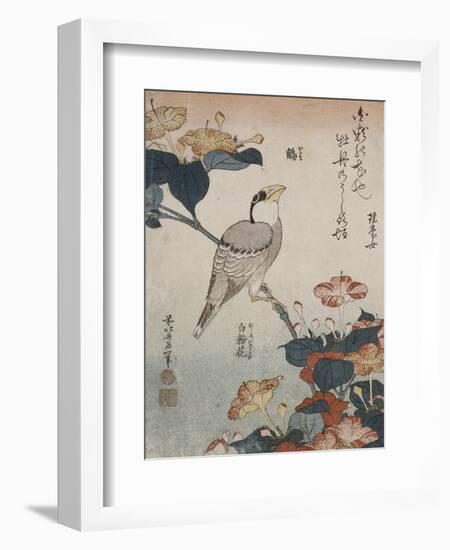 Gros-bec et mirabilis-Katsushika Hokusai-Framed Giclee Print