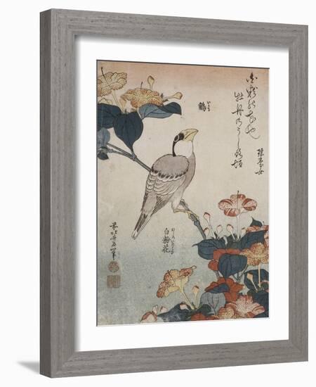 Gros-bec et mirabilis-Katsushika Hokusai-Framed Giclee Print