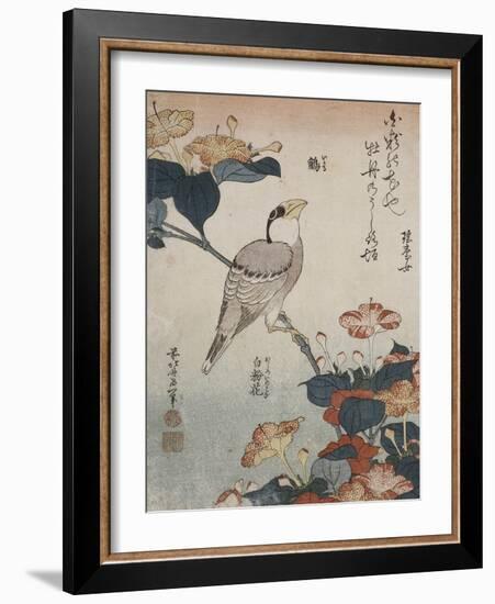Gros-bec et mirabilis-Katsushika Hokusai-Framed Giclee Print
