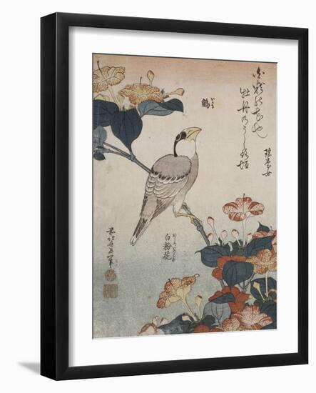 Gros-bec et mirabilis-Katsushika Hokusai-Framed Giclee Print