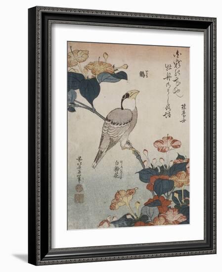 Gros-bec et mirabilis-Katsushika Hokusai-Framed Giclee Print