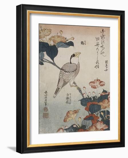 Gros-bec et mirabilis-Katsushika Hokusai-Framed Giclee Print