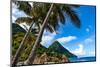 Gros Piton, with palm trees and thatched sun umbrellas, Sugar Beach, St. Lucia, Windward Islands, W-Martin Child-Mounted Photographic Print