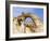 Grosvenor Arch in Grand Staircase, Escalante National Monument, Utah, USA-Diane Johnson-Framed Photographic Print