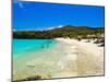 Grote Knip Beach, Curacao, Netherlands Antilles, West Indies, Caribbean, Central America-Michael DeFreitas-Mounted Photographic Print