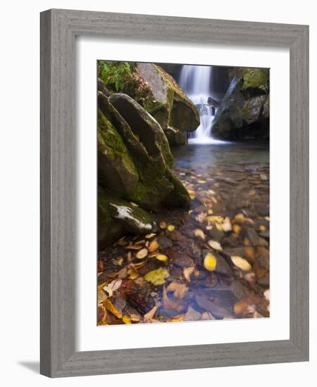 Grotto Galls, Smoky Mountain National Park, Tn-Brad Beck-Framed Photographic Print