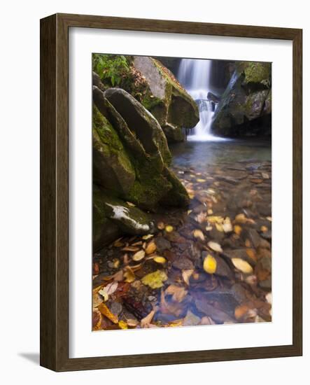 Grotto Galls, Smoky Mountain National Park, Tn-Brad Beck-Framed Photographic Print