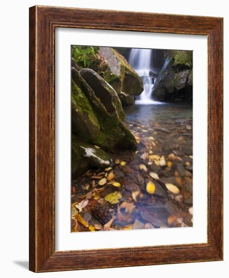 Grotto Galls, Smoky Mountain National Park, Tn-Brad Beck-Framed Photographic Print