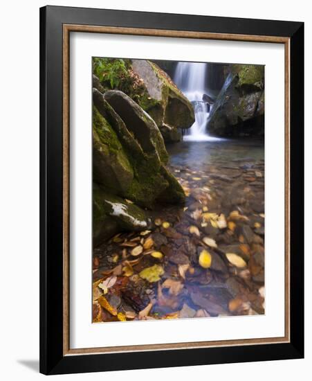 Grotto Galls, Smoky Mountain National Park, Tn-Brad Beck-Framed Photographic Print