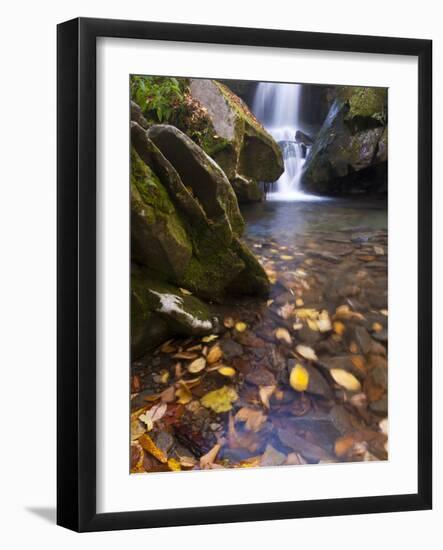 Grotto Galls, Smoky Mountain National Park, Tn-Brad Beck-Framed Photographic Print