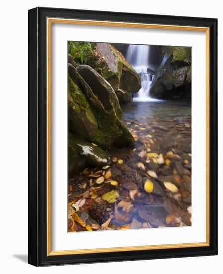 Grotto Galls, Smoky Mountain National Park, Tn-Brad Beck-Framed Photographic Print