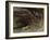 Grotto of Sarrazine near Nans-sous-Sainte-Anne, c.1864-Gustave Courbet-Framed Giclee Print