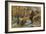 Groudle Glen, I of Man-Alfred Robert Quinton-Framed Giclee Print