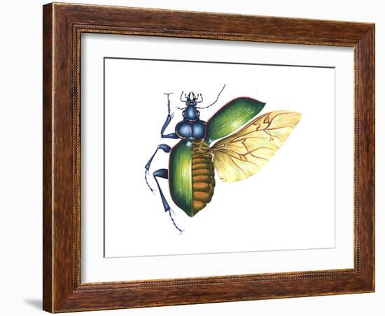 Ground Beetle (Carabidae), Insects-Encyclopaedia Britannica-Framed Art Print