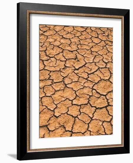 Ground, Earth, Rips, Drought, Dryness-Thonig-Framed Photographic Print