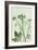 Ground Elder Green-Pernille Folcarelli-Framed Art Print