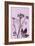 Ground Elder Violet-Pernille Folcarelli-Framed Art Print