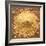 Ground Mustard-Steve Gadomski-Framed Photographic Print