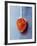 Ground Paprika on Spoon-Maja Smend-Framed Photographic Print