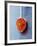 Ground Paprika on Spoon-Maja Smend-Framed Photographic Print