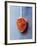 Ground Paprika on Spoon-Maja Smend-Framed Photographic Print