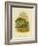 Ground Parakeet, 1891-Gracius Broinowski-Framed Giclee Print