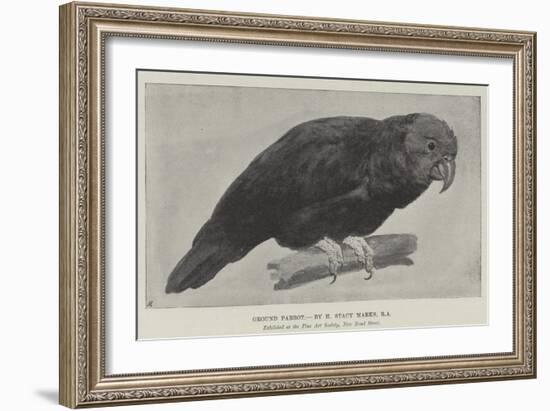 Ground Parrot-Henry Stacey Marks-Framed Giclee Print