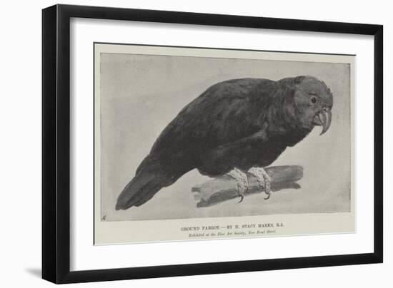 Ground Parrot-Henry Stacey Marks-Framed Giclee Print