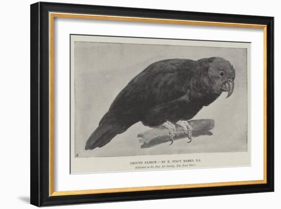 Ground Parrot-Henry Stacey Marks-Framed Giclee Print