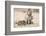 Ground Squirrels (Xerus Inauris), Kgalagadi Transfrontier Park, Northern Cape, South Africa, Africa-Ann & Steve Toon-Framed Photographic Print