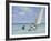 Ground Swell-Edward Hopper-Framed Giclee Print