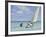 Ground Swell-Edward Hopper-Framed Photographic Print