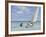 Ground Swell-Edward Hopper-Framed Photographic Print