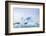 Grounded Icebergs, Sydkap, Scoresbysund, Northeast Greenland, Polar Regions-Michael Nolan-Framed Photographic Print