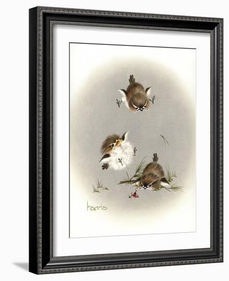 Grounded-Peggy Harris-Framed Giclee Print