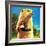 Groundhog and Apple - Jack & Jill-Dorothy Forsyth-Framed Giclee Print