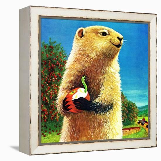 Groundhog and Apple - Jack & Jill-Dorothy Forsyth-Framed Premier Image Canvas