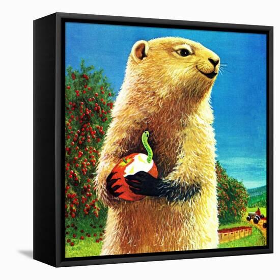 Groundhog and Apple - Jack & Jill-Dorothy Forsyth-Framed Premier Image Canvas