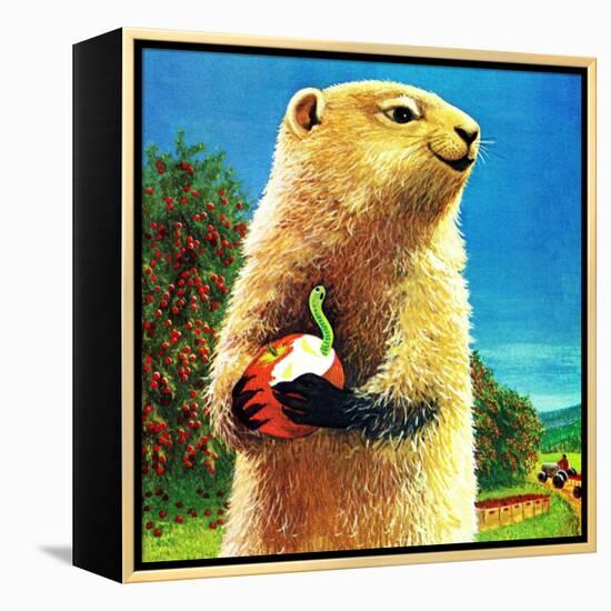 Groundhog and Apple - Jack & Jill-Dorothy Forsyth-Framed Premier Image Canvas