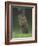 Groundhog Woodchuck, Great Smoky Mountains National Park, Tennessee, USA-Adam Jones-Framed Photographic Print