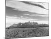Photographic Print