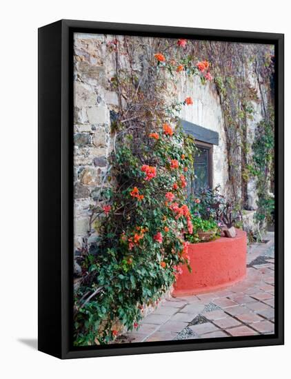 Grounds and Buildings of Historic La Valenciana Mine, Guanajuato State, Mexico-Julie Eggers-Framed Premier Image Canvas