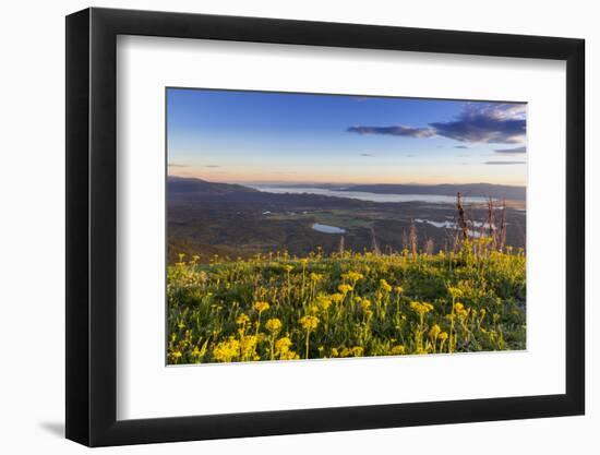 Groundsel, Swan Range Looking Down onto Flathead Lake, Montana-Chuck Haney-Framed Photographic Print